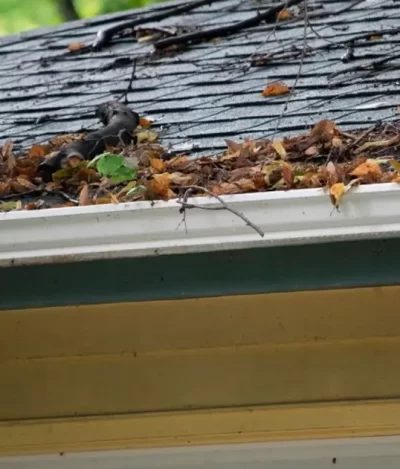 gutter cleaning dallas