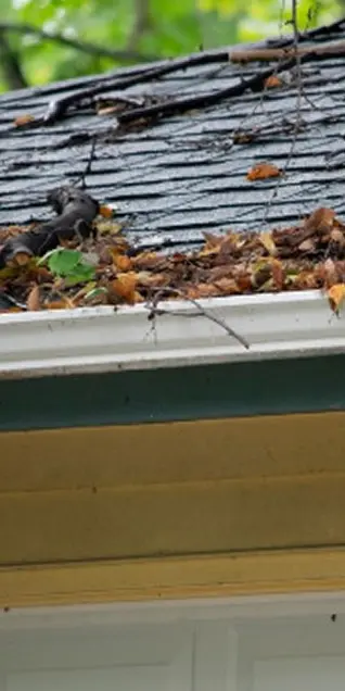 gutter cleaning frisco