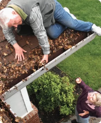 gutter cleaning